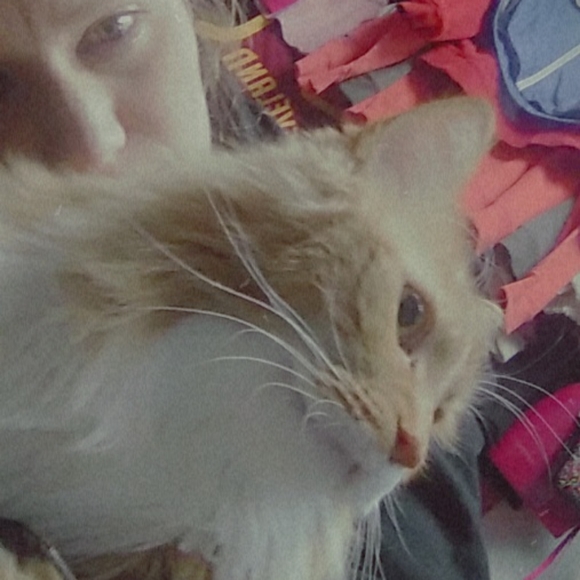 Meet your Posher, Carolyn - Picture 2 of 2